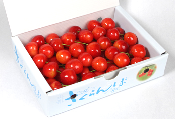 【予約商品】減農薬佐藤錦 Ｌサイズ バラ箱詰め 秀 500g　