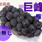 kyoho-s