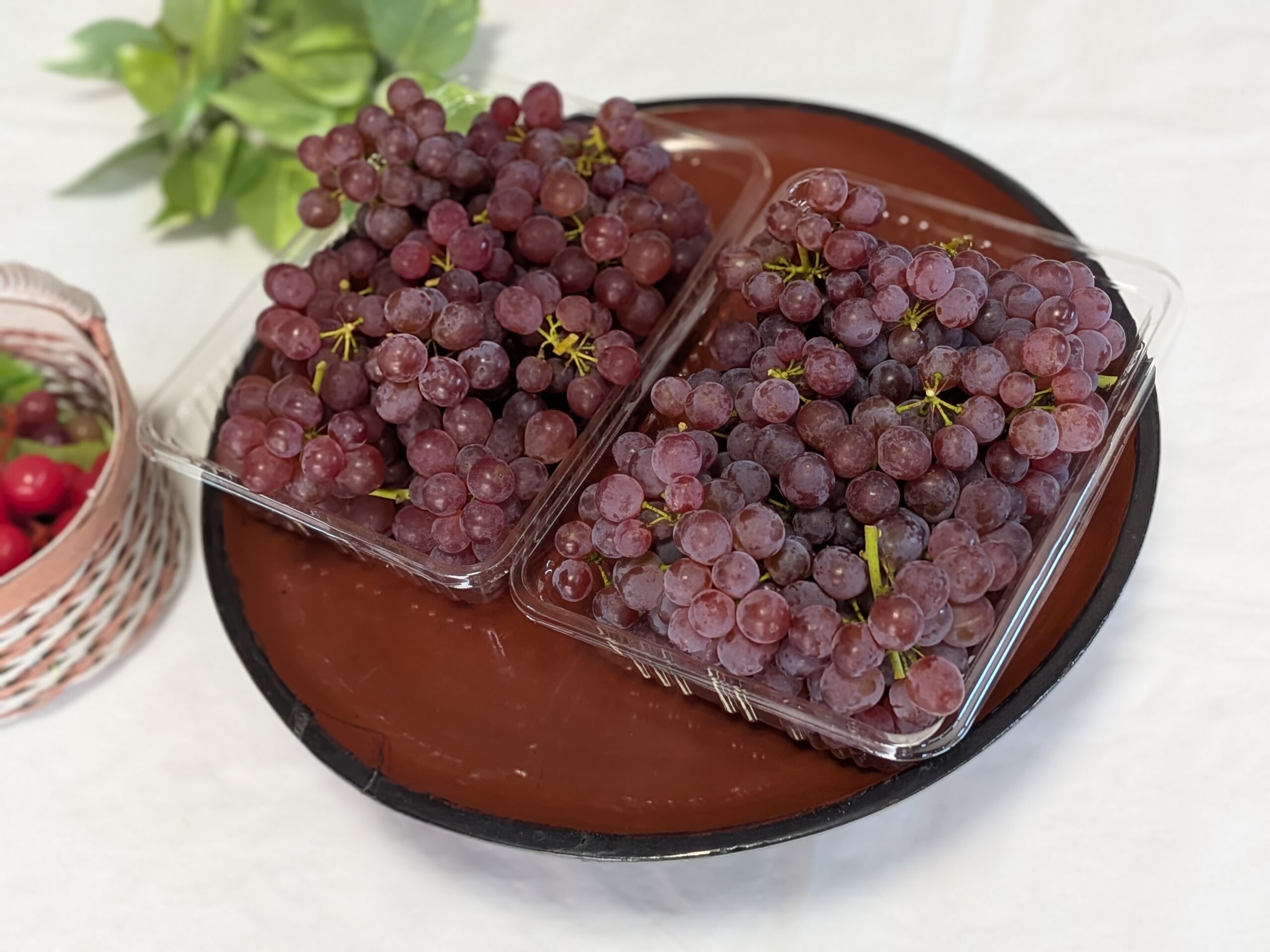 8月10日頃販売　2026年産【軸カット】種なし 【デラウェア】家庭用 600g×2パック 箱入り とても甘い 山形県米沢市産